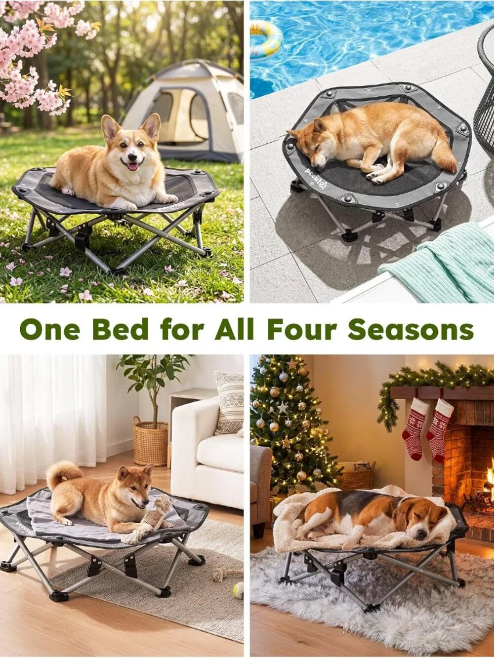 Raised Dog Bed with Cooling Mat